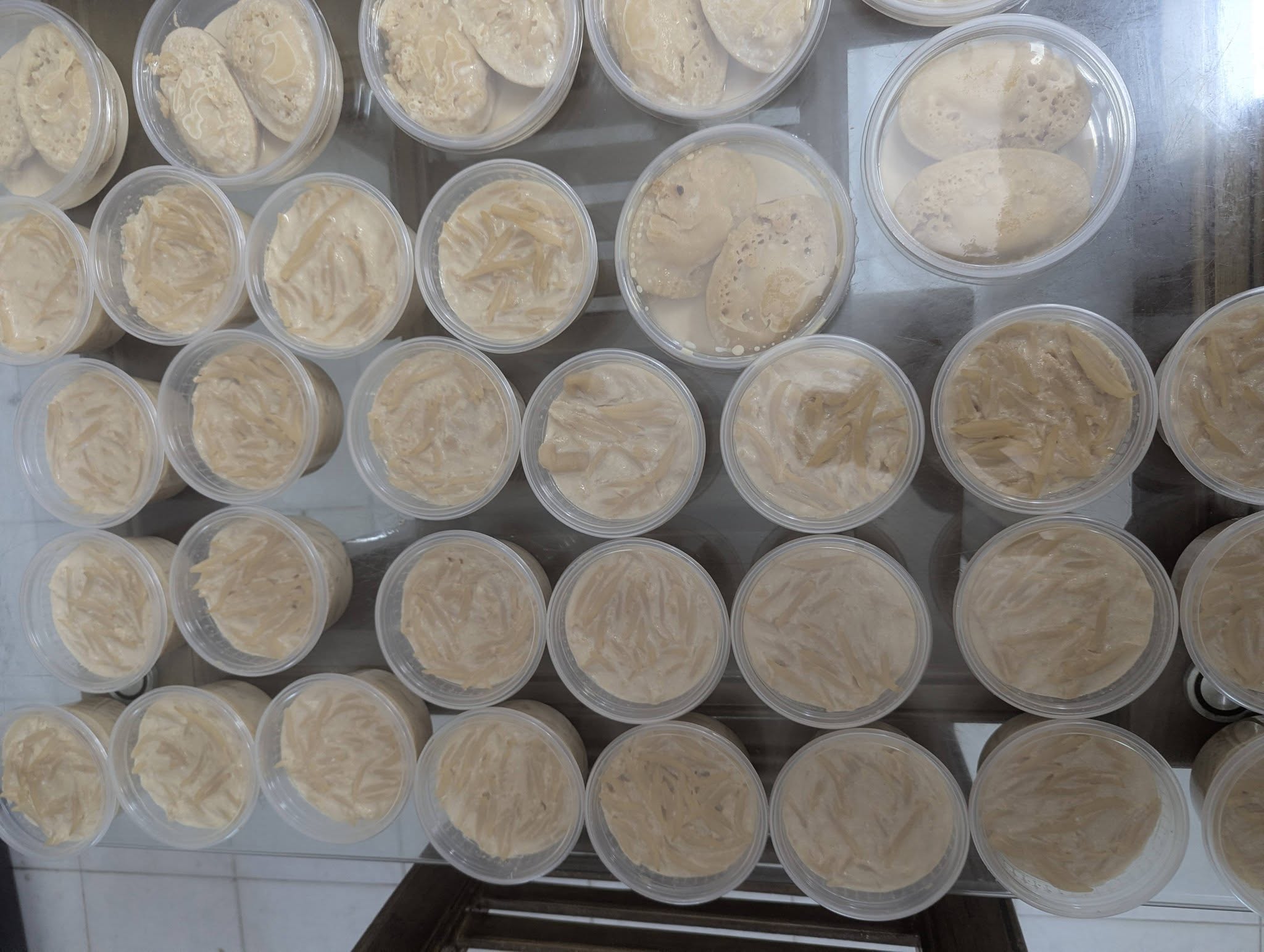 Previous corporate lunch supply by Toua's Kitchen